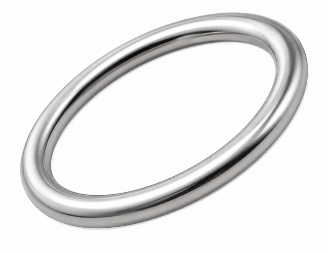 Silver-coloured metal O-ring seal shown at an angle on a white background